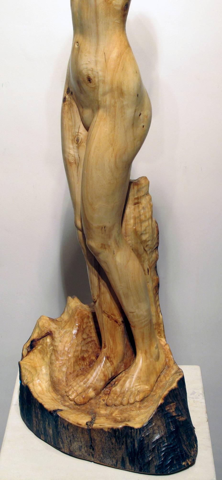 Tree Athena by Troy Williams female nude blonde wood sculpture Santa Fe artist

Sculptor Troy Williams unites the timeless and the contemporary in sculptures of rare beauty and meaning Beyond all the narrative potential of the three obvious physical