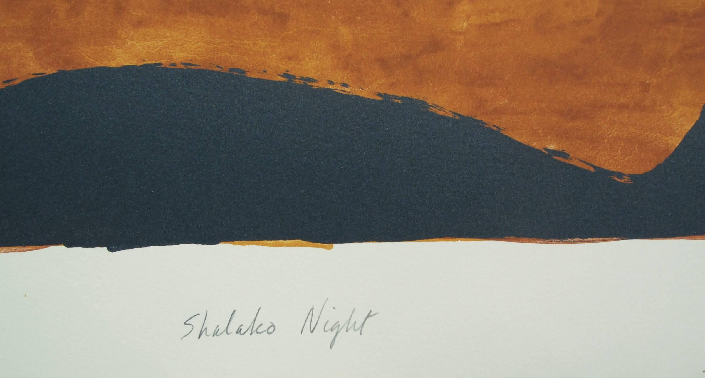 Nuit de Shalako - Contemporain Print par Dan Namingha