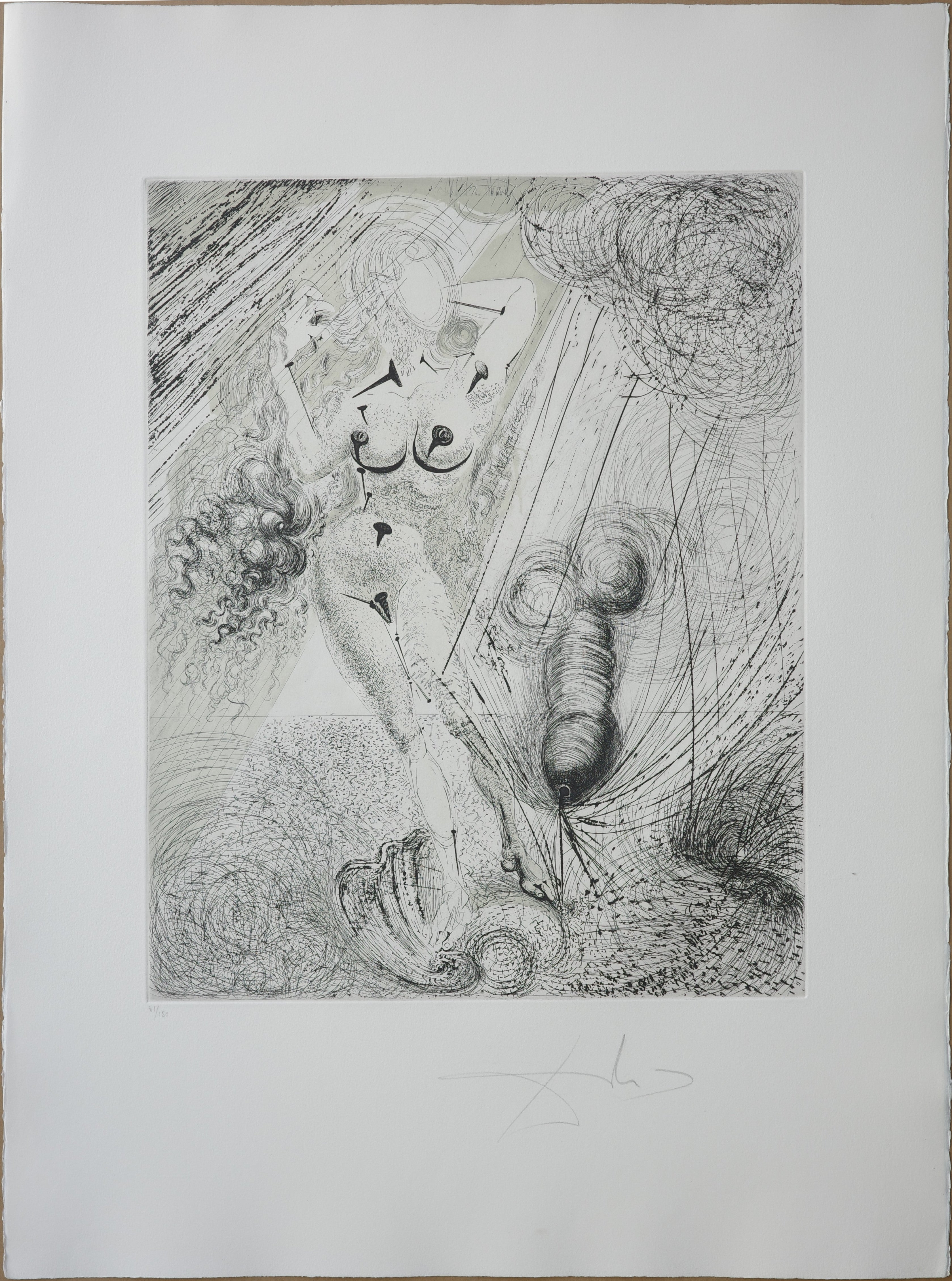 Salvador Dalí­ 
Birth of Venus from The Mythology suite, 1960-1964
Etching and engraving with color aquatint. 
Hand Signed lower right
Numbered 31/150 
Image size: 50 x 40 cm
Sheet size: 76 x 55 cm
Published by Argillet, Paris
Reference Field 63-3