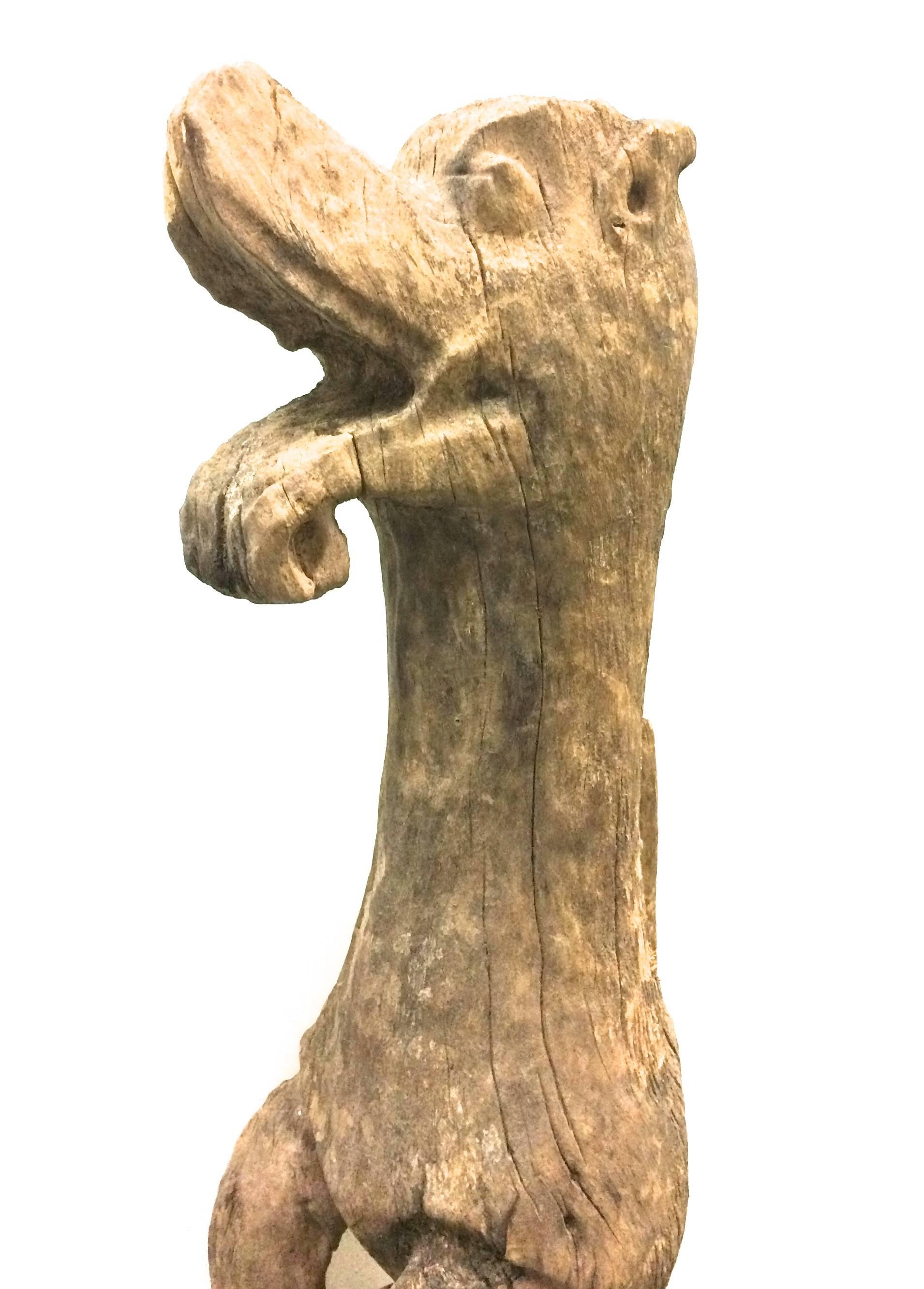 wood dog statue