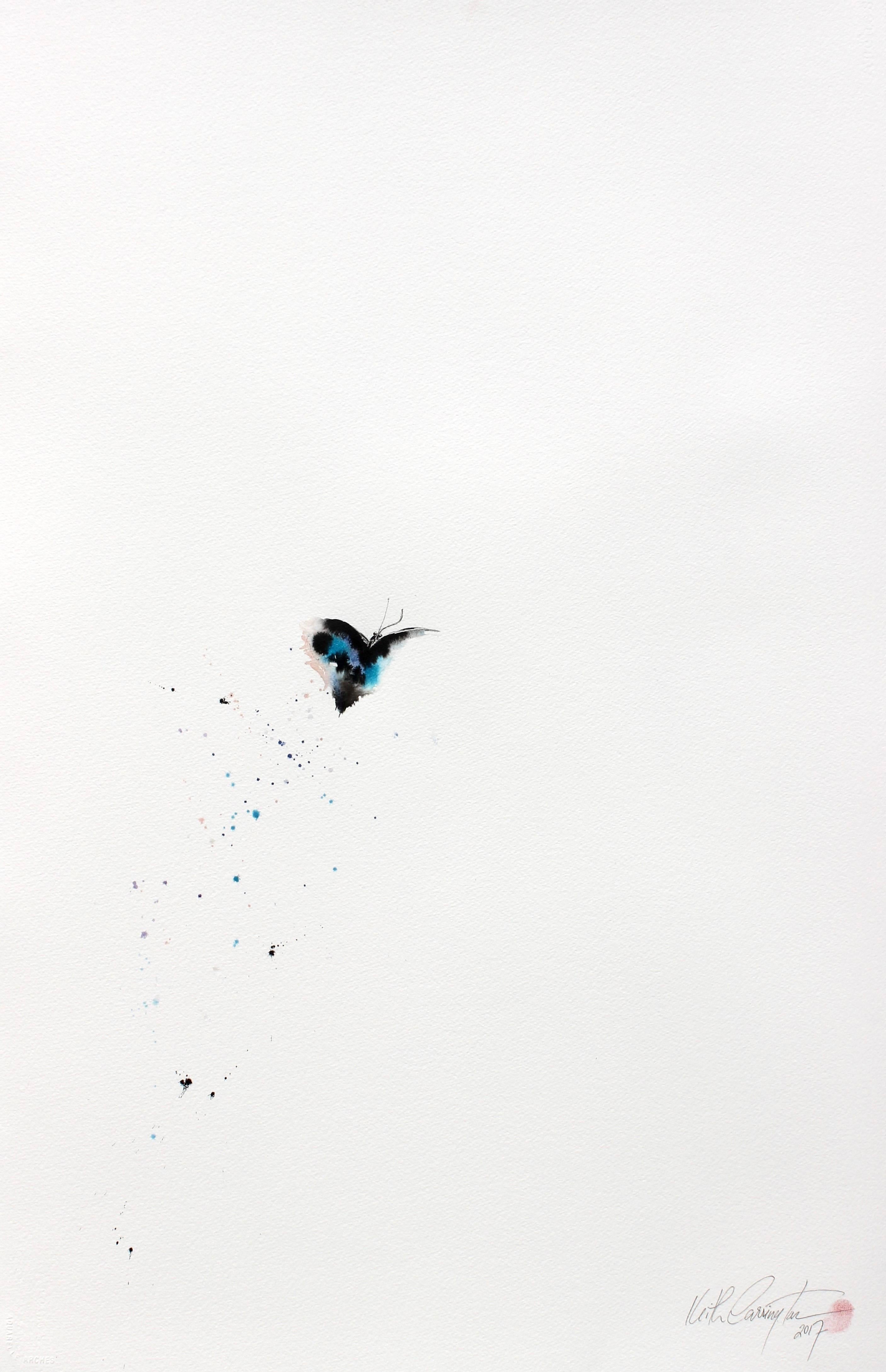 Rise Blue Butterfly 