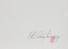 Vórtice Llama Gemela Mariposas