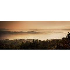Tuscan Dreams 7