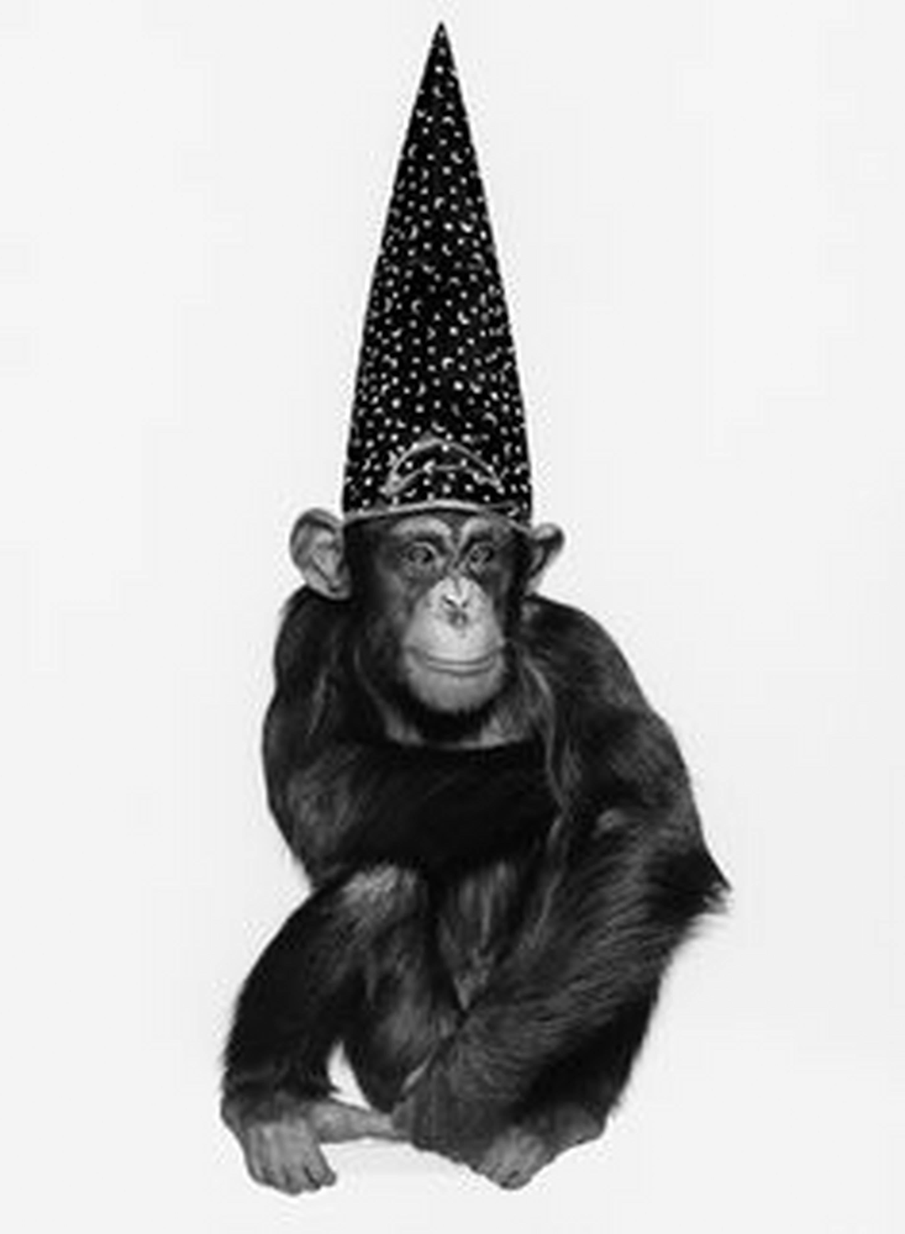Albert Watson Black and White Photograph - Monkey Series - Monkey with Hut
