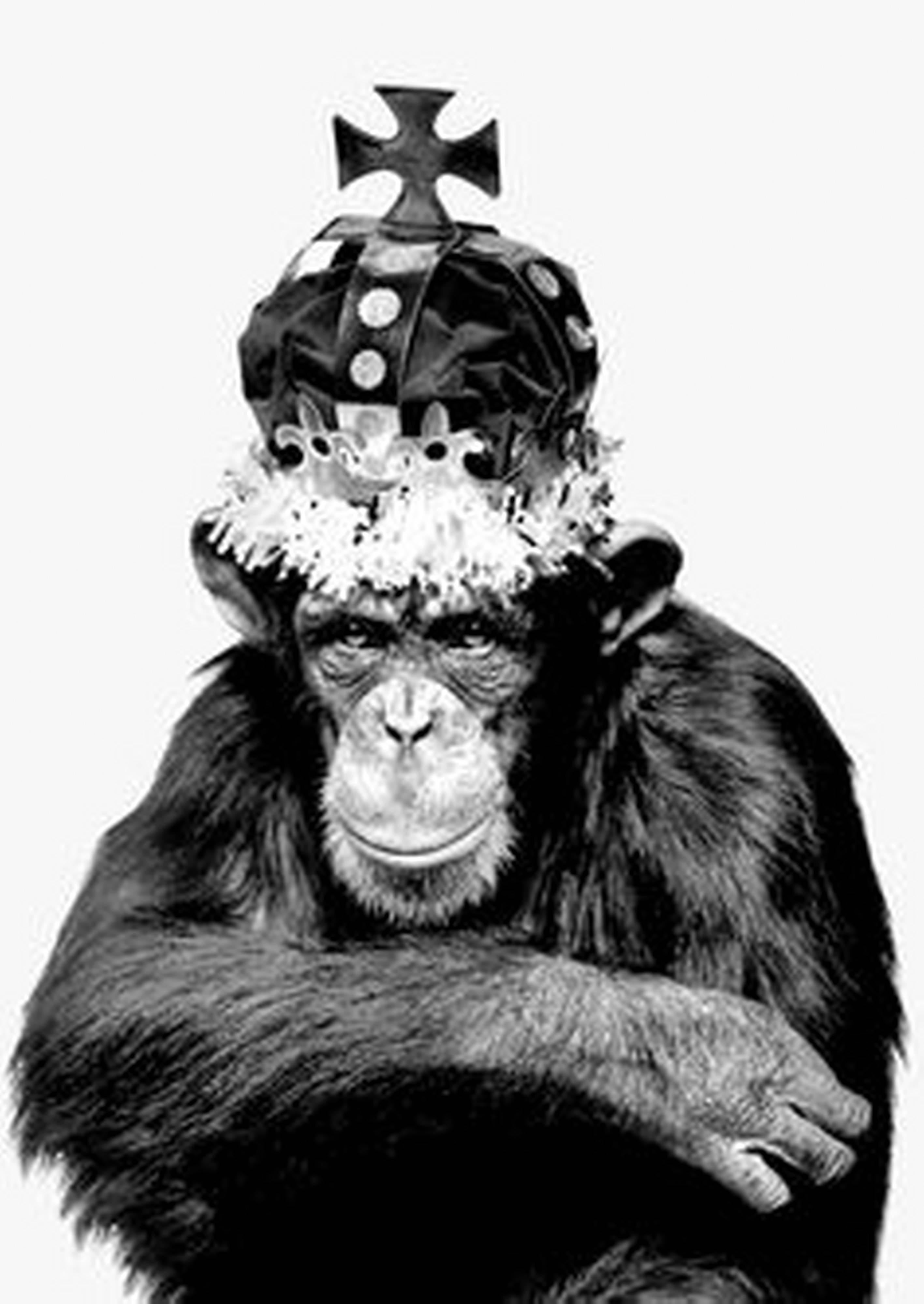 Albert Watson Black and White Photograph - Monkey Series - Monkey King