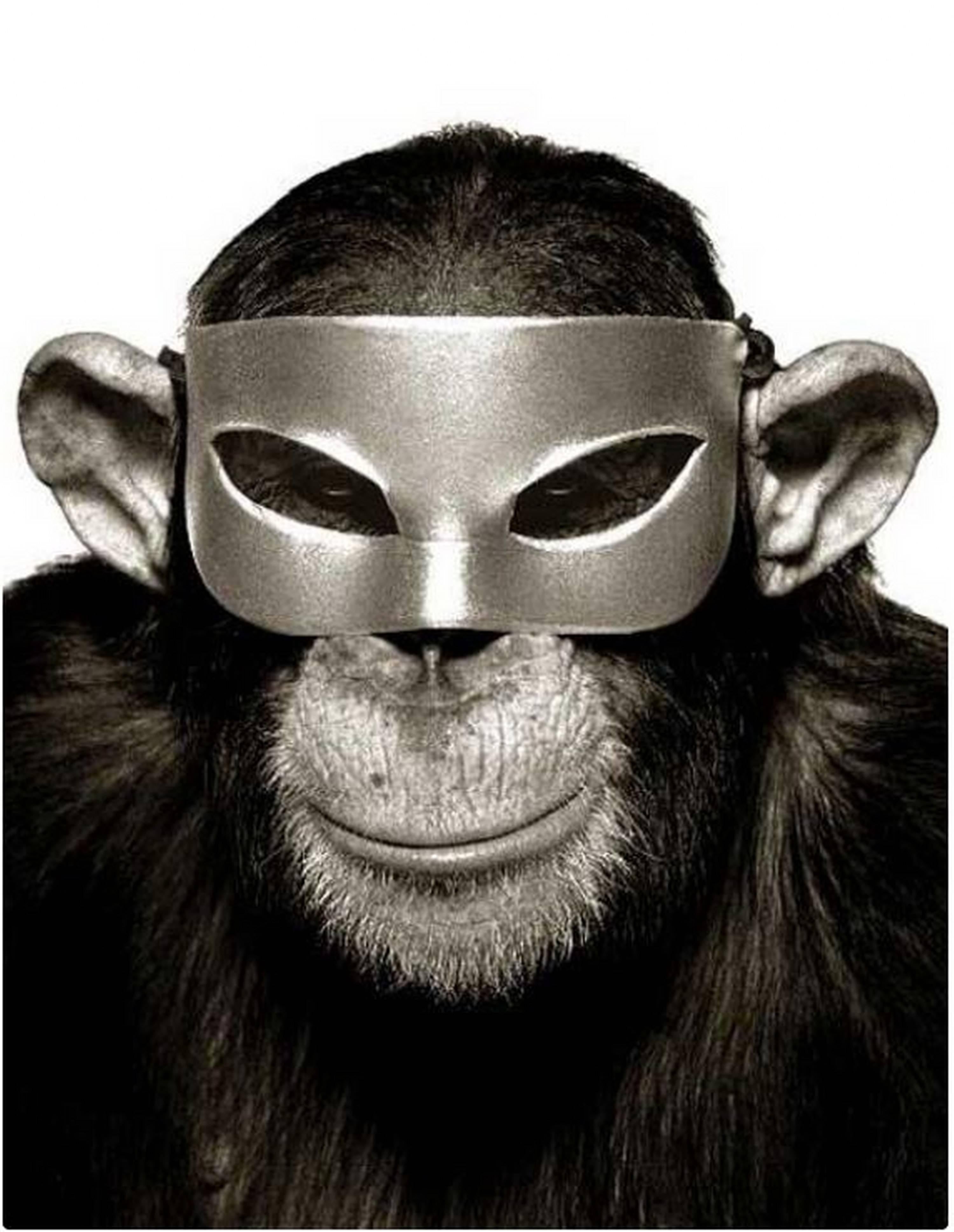 Albert Watson Black and White Photograph - Monkey with Mask - animal portrait of a chimp with mask. 