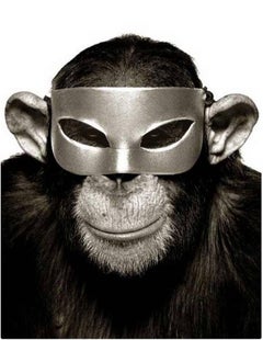 Monkey with Mask - animal portrait of a chimp with mask. 