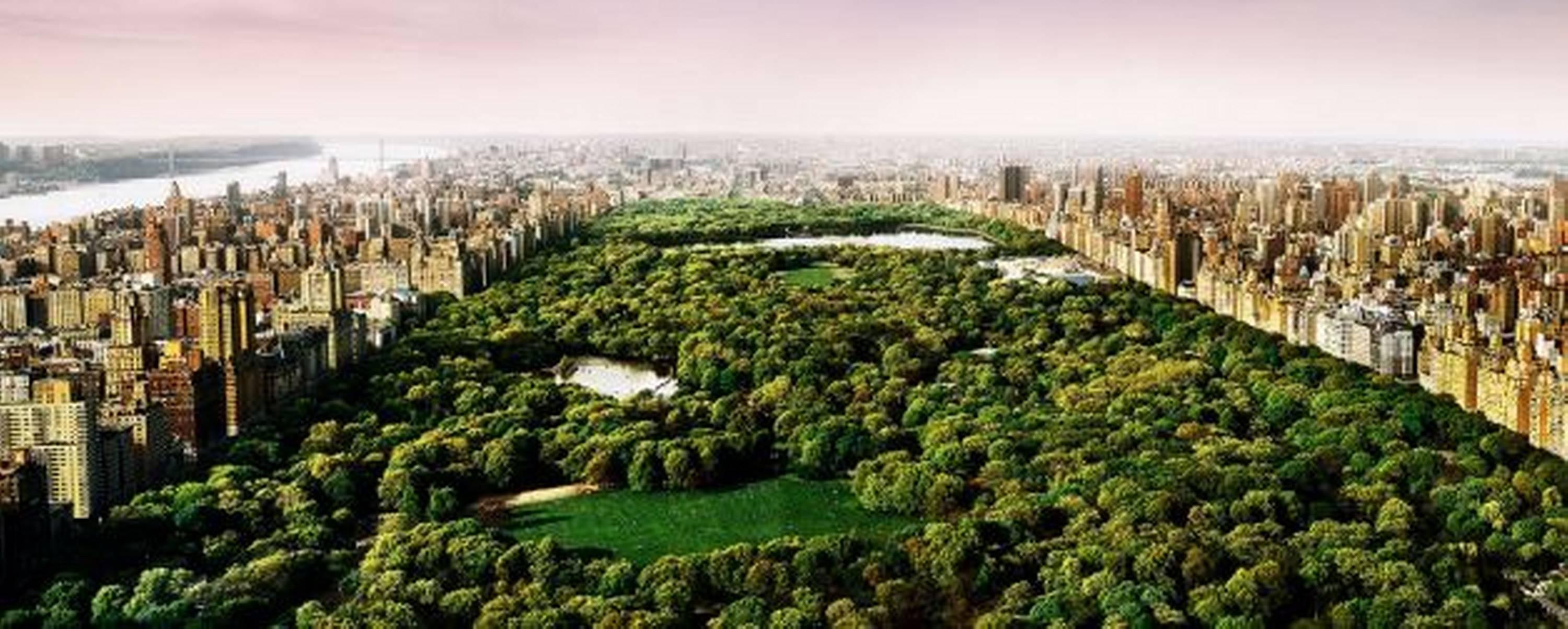 David Drebin Color Photograph - Dreams of Central Park