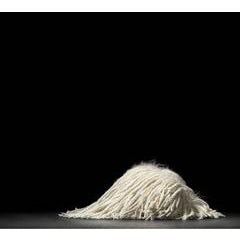 Sleeping Mop 1