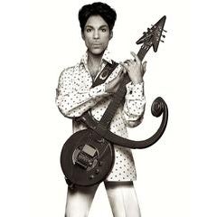 Prince with Guitar 3
