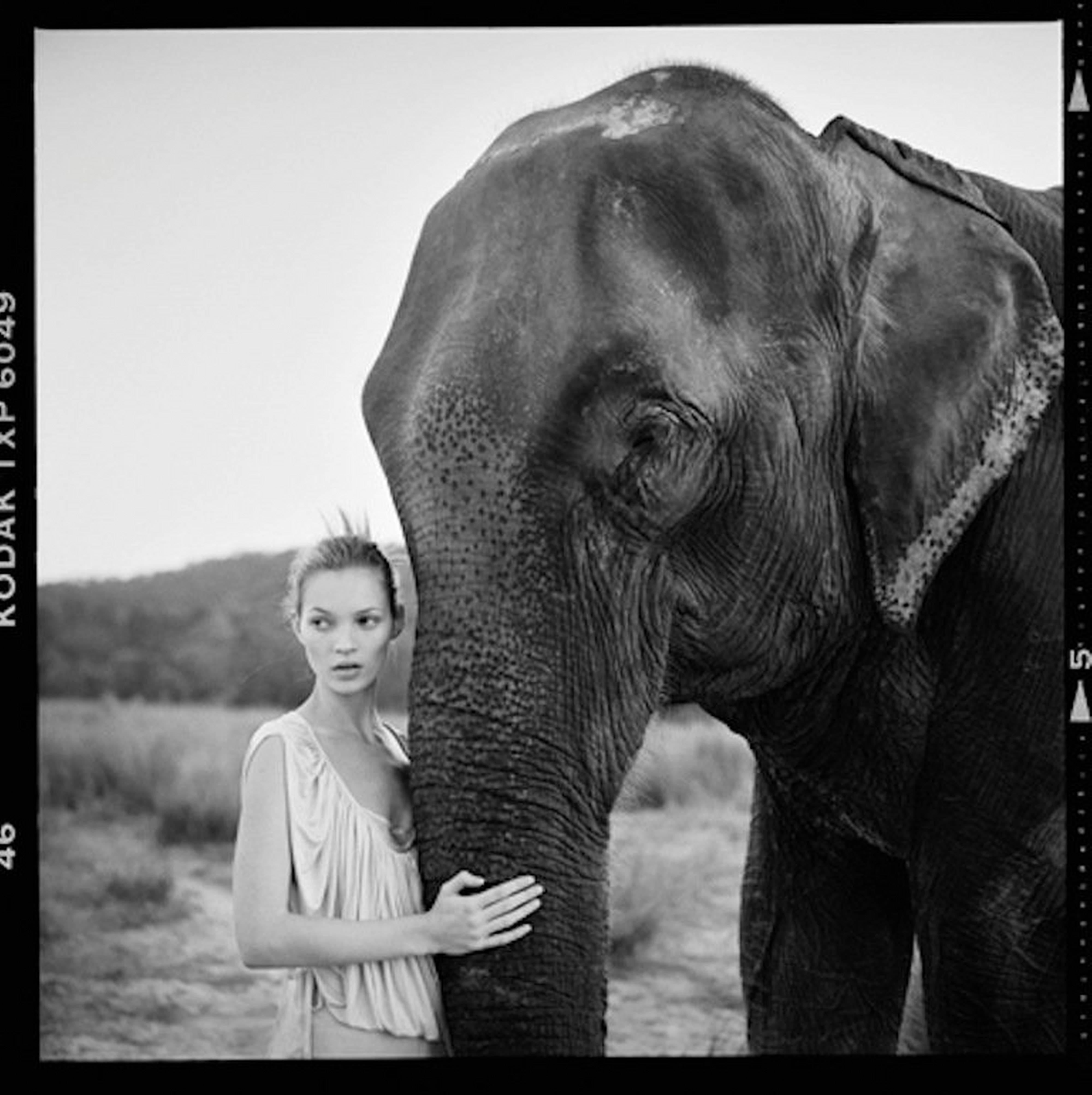 Arthur Elgort Black and White Photograph - Kate Moss in Nepal II - portrait next to an elephant, fine art photography, 1994