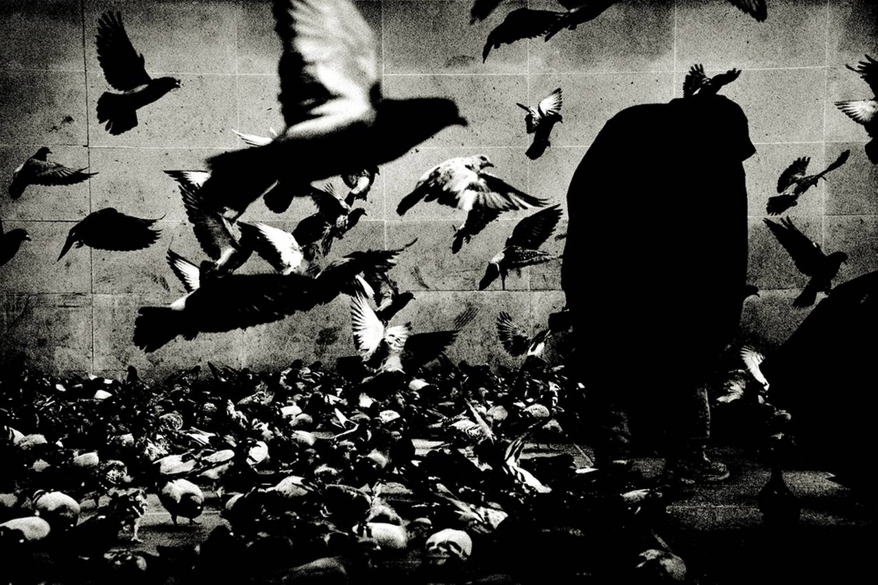 Andreas H. Bitesnich Black and White Photograph – Die Vögel, Paris