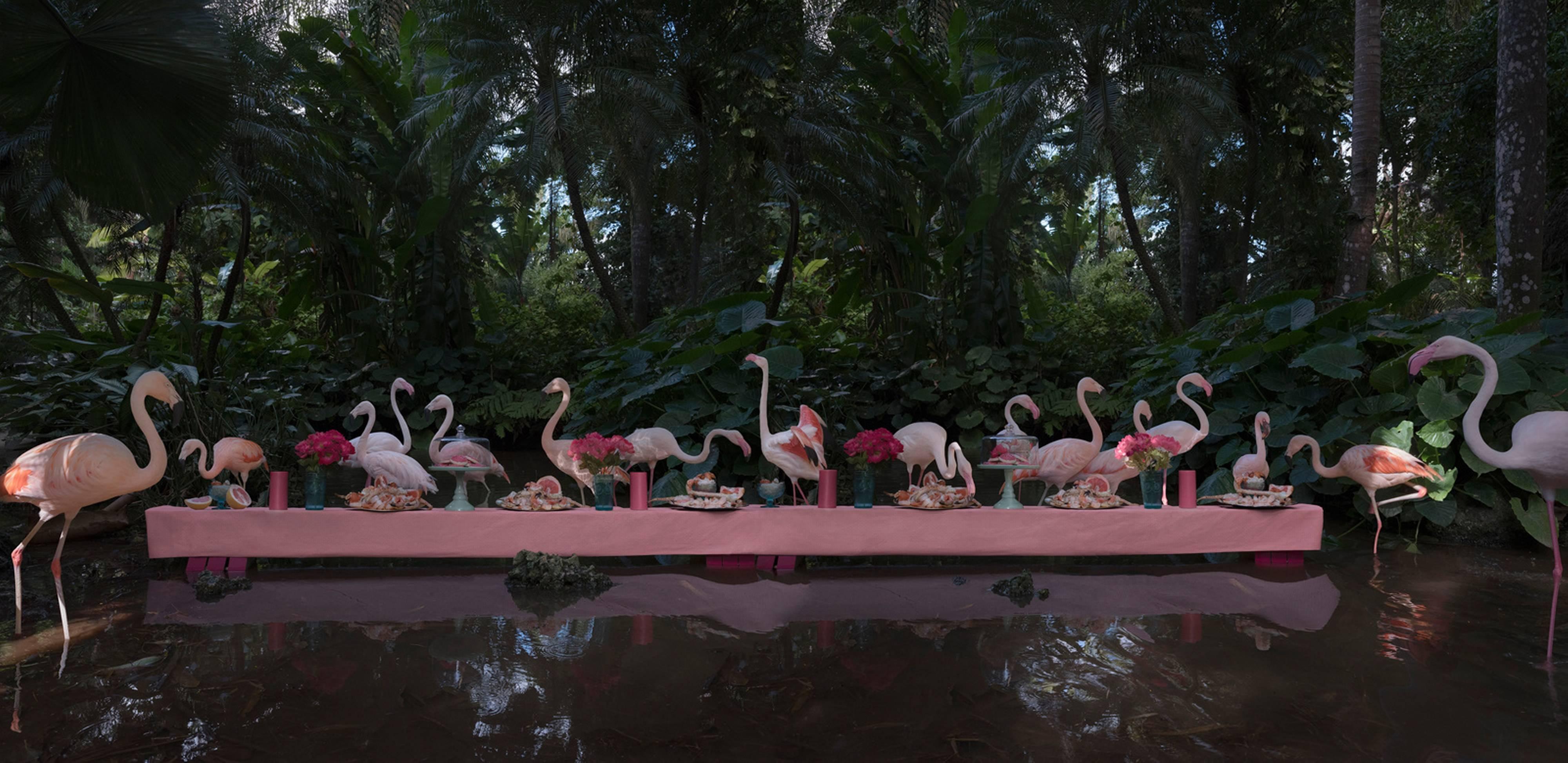 Claire Rosen Color Photograph - The Pink Flamingo Feast