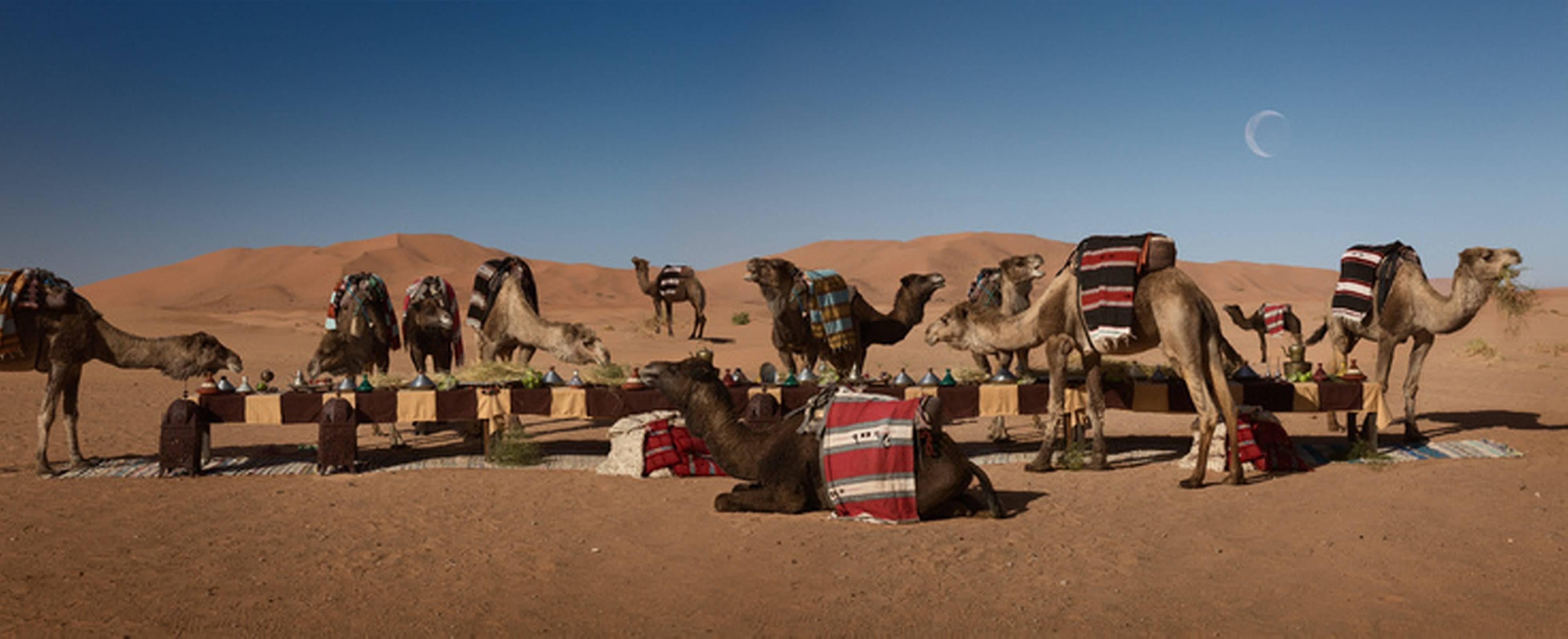 Claire Rosen Color Photograph - The Dromedary Feast