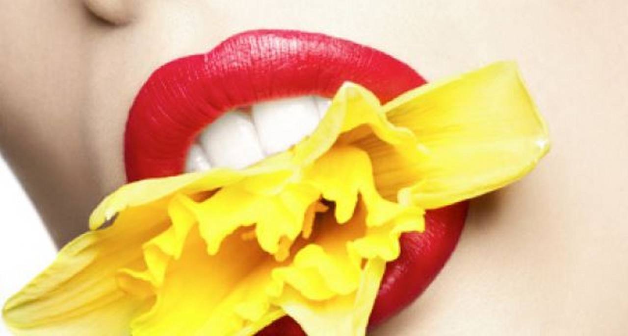 Rankin Color Photograph - Chrysanthemum Bitten