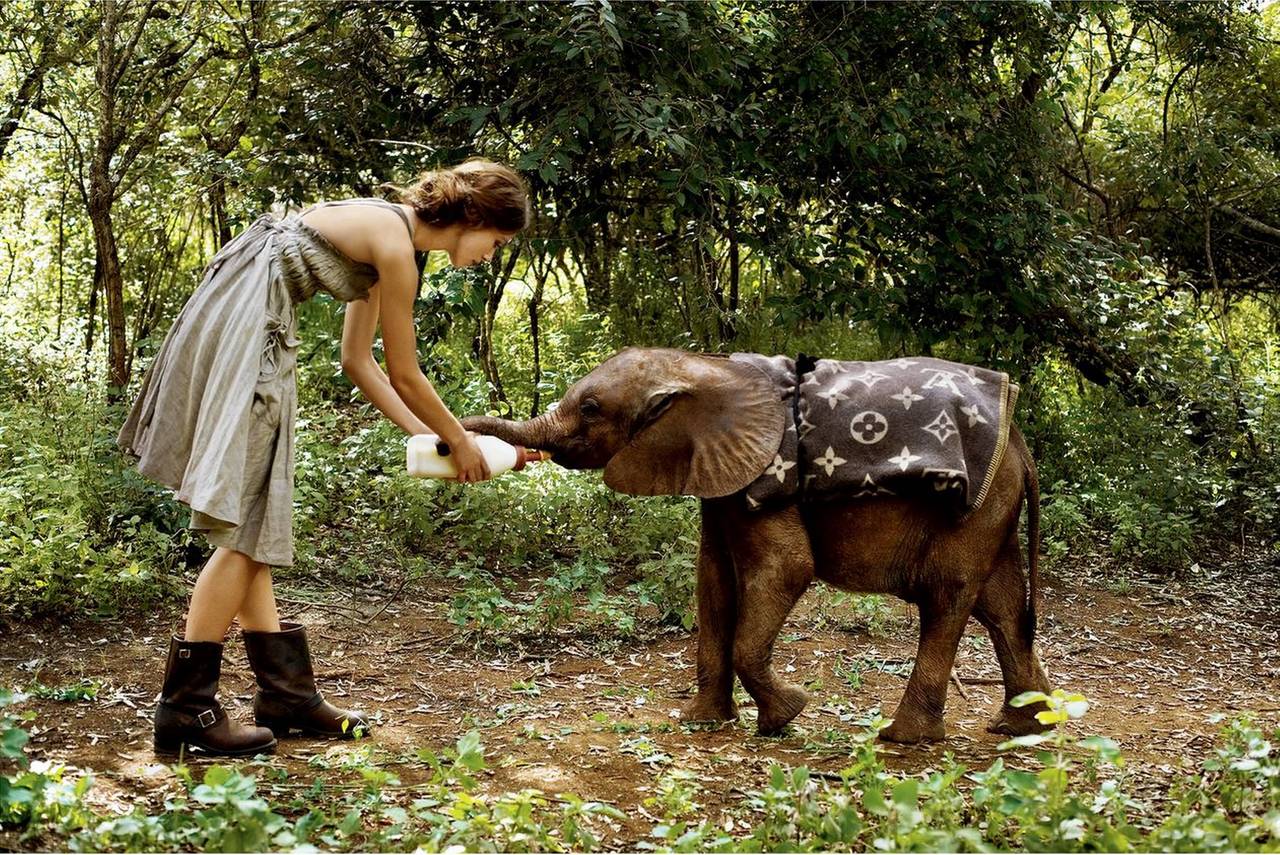 Color Photograph di Arthur Elgort - Keira Knightley con Elephant