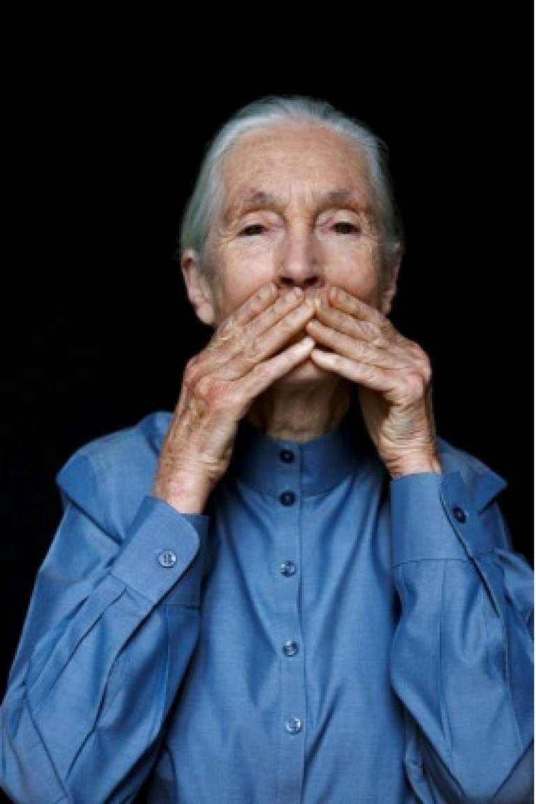 Andreas H. Bitesnich Portrait Photograph - Jane Goodall