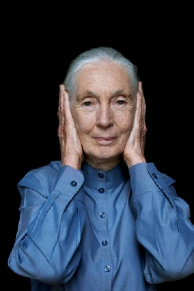 Andreas H. Bitesnich Portrait Photograph – Jane Goodall