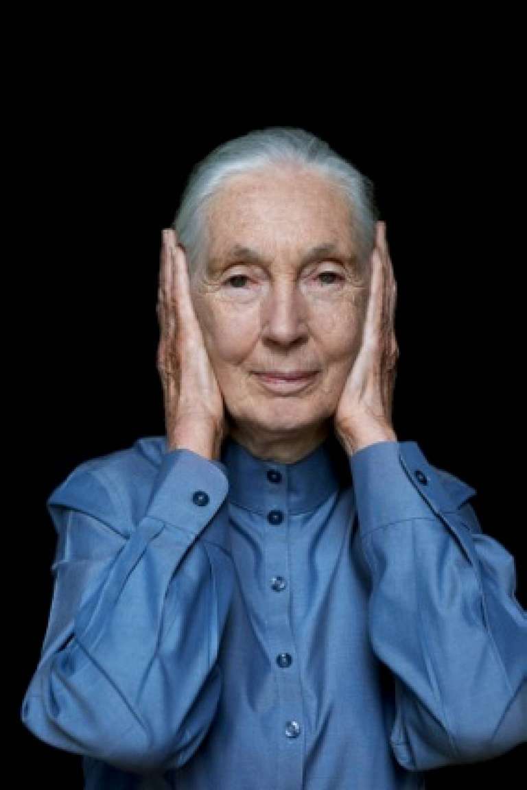 Andreas H. Bitesnich Portrait Photograph - Jane Goodall