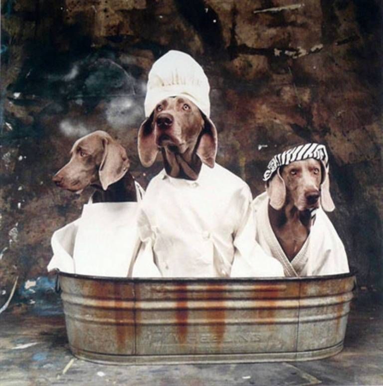 William Wegman Color Photograph - Nursery Rhymes Plate I