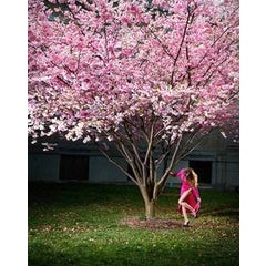 Pink Moment 12