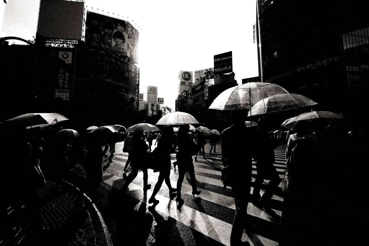 Andreas H. Bitesnich Black and White Photograph – Crossing der Shibuya-Quere, Tokio