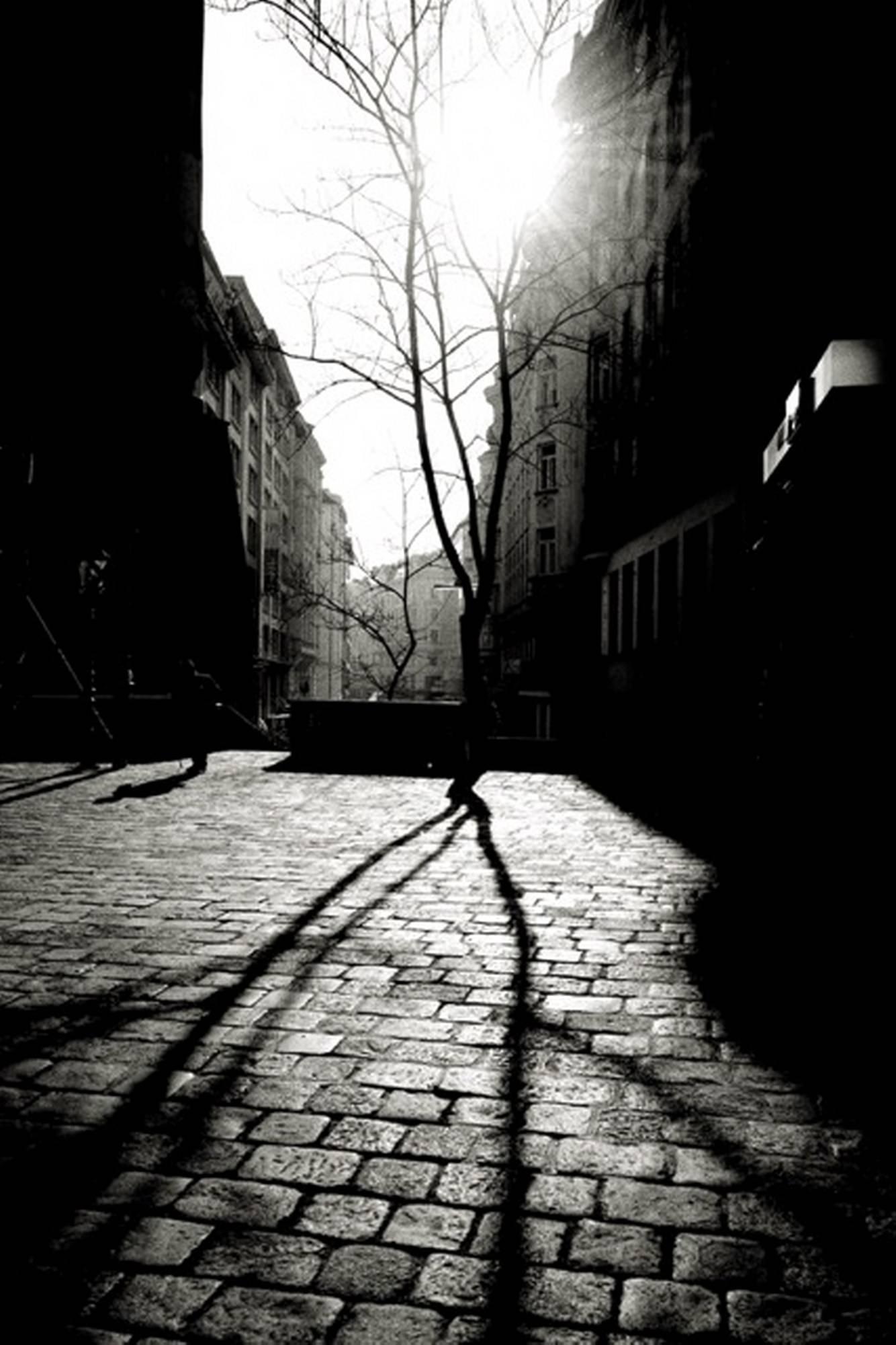 Andreas H. Bitesnich Black and White Photograph – Deeper Shades of Vienna VII.