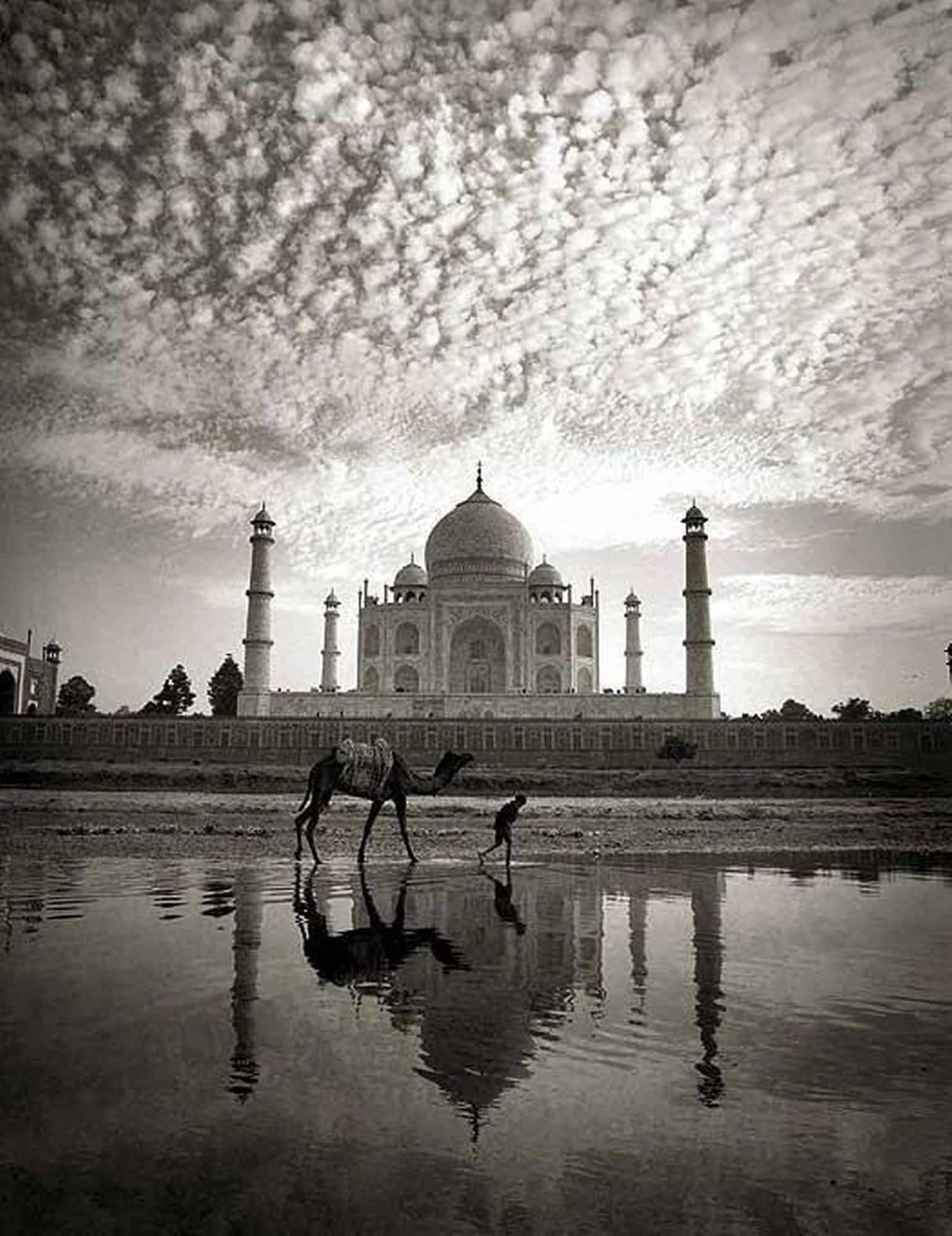Andreas H. Bitesnich Black and White Photograph – Mahagoni Taj Mahal