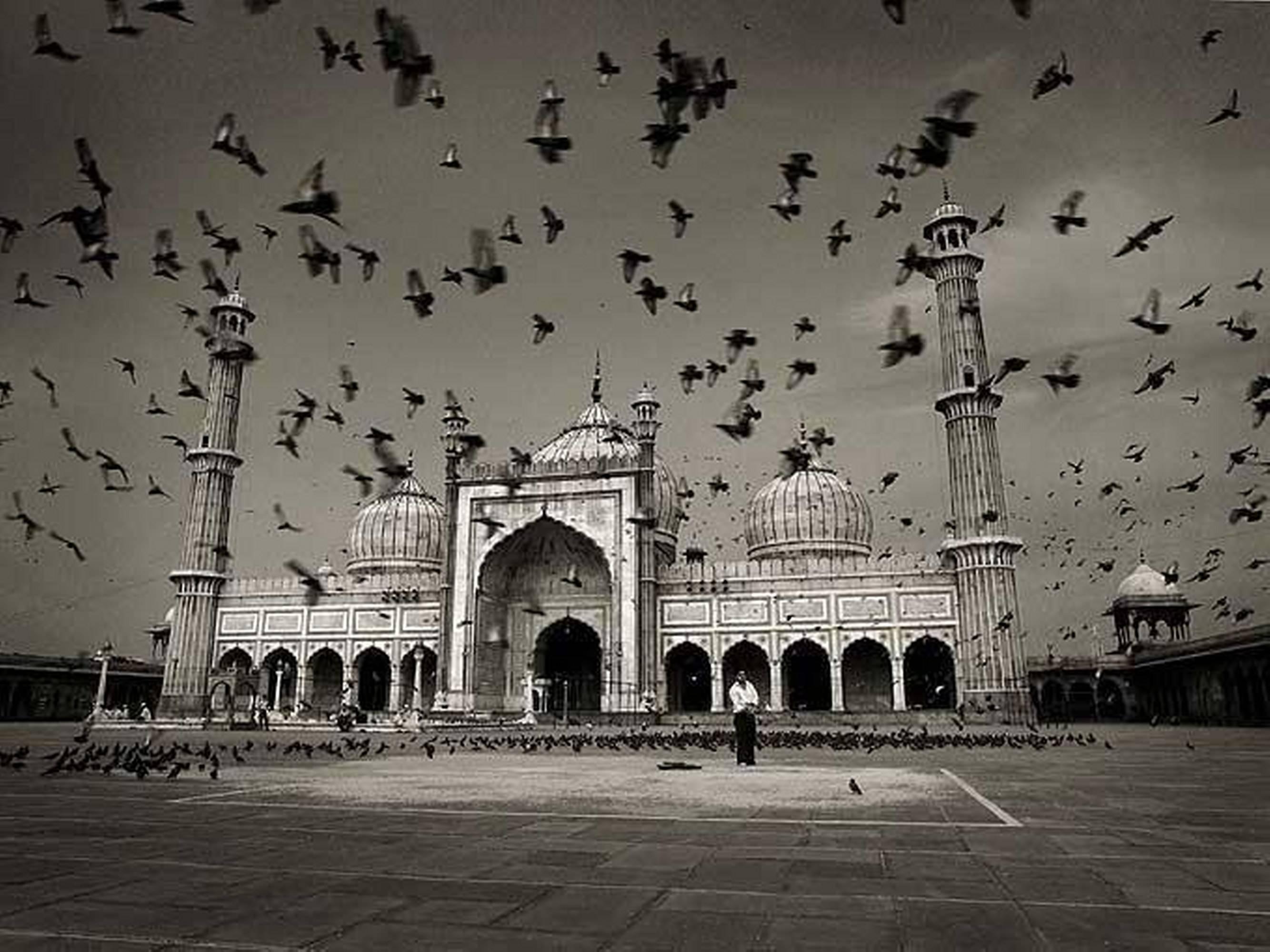 Andreas H. Bitesnich Black and White Photograph – Jamaikanische Masjid, Delhi