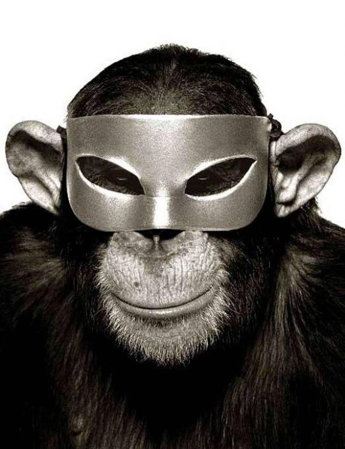 Full Movie: The Monkeys Mask 2000 , Crime