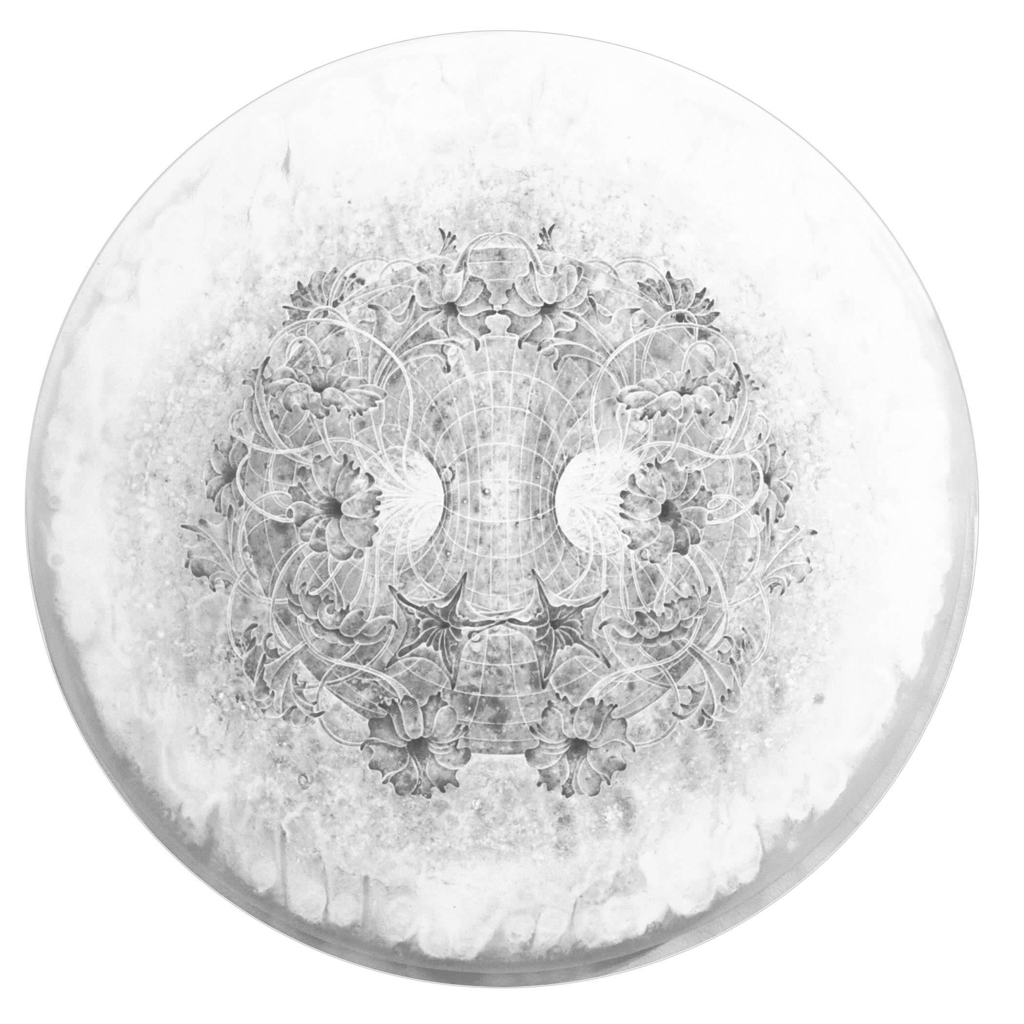 Carol Prusa, Unbounded, 2014
Silverpoint, Graphite, White Pigment with Acrylic Binder on Acrylic Circular Panel 24 x 24 x 1 inches, wall mounted

Carol Prusa received her B.S. in Bio-communication Arts from the University of Illinois Medical