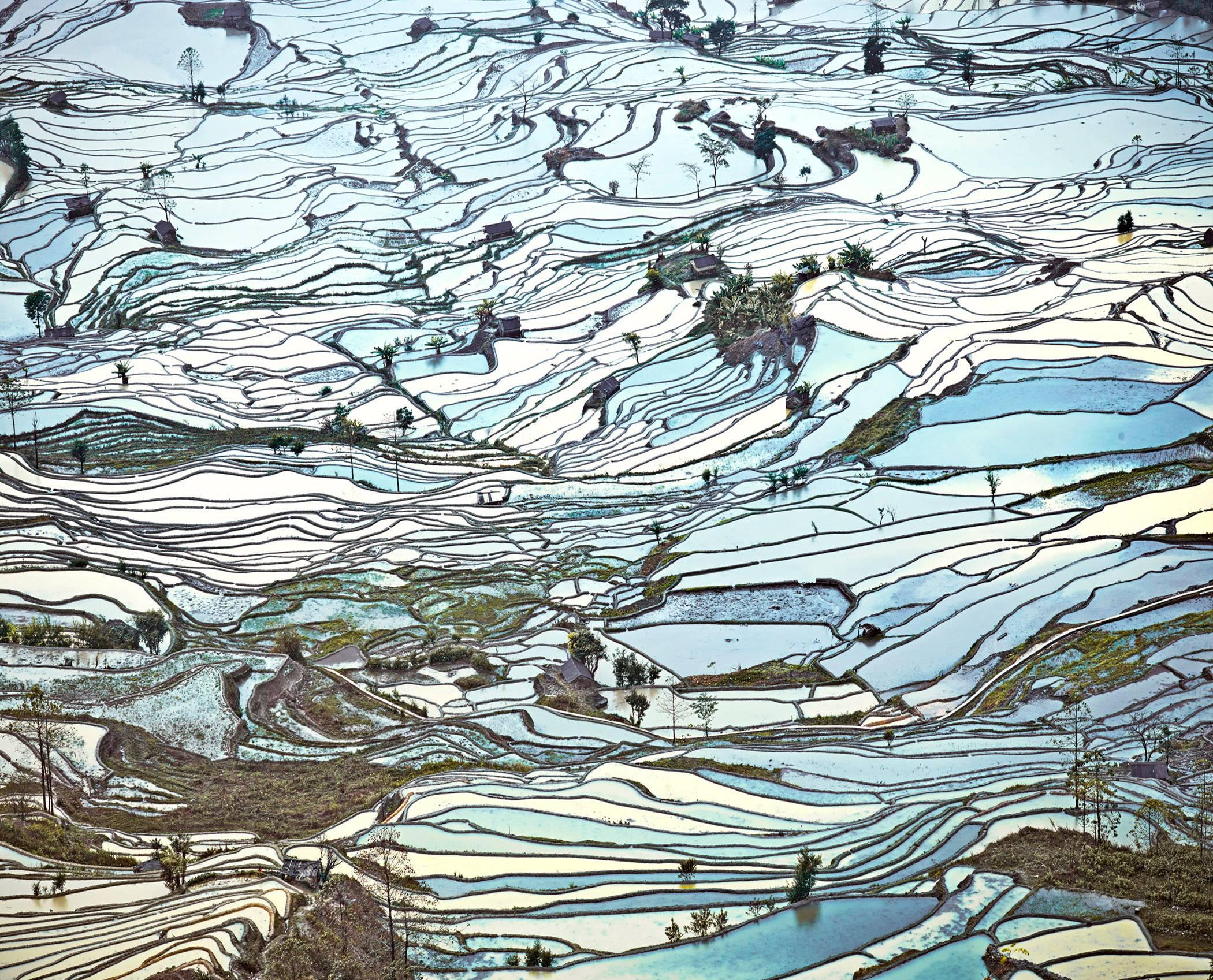 Rice Terraces (Laohuzui II), Yunnan, China (9/10) - Photograph by David Burdeny