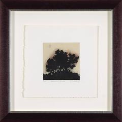 Bush Suite, Set One, (b), 2000