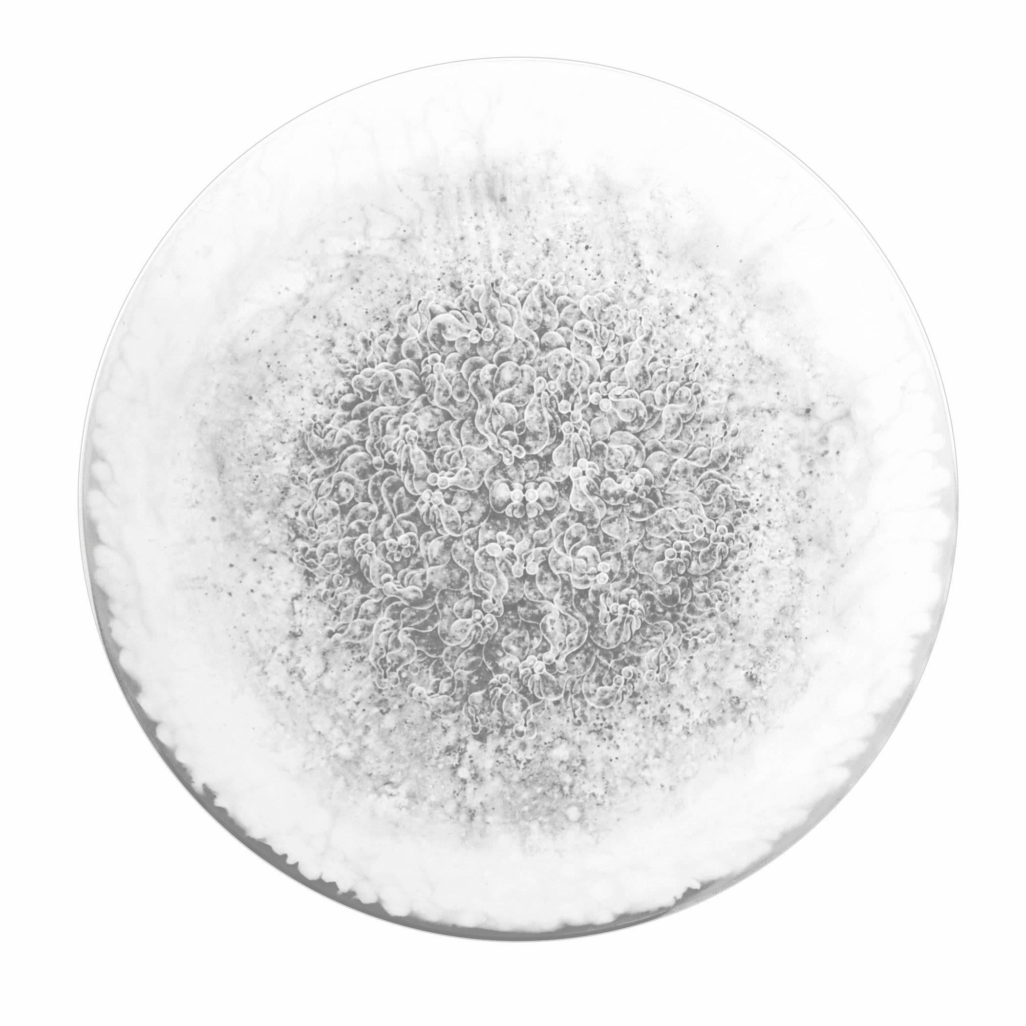 Carol Prusa, Abundant, 2014
Silverpoint, Graphite, White Pigment with Acrylic Binder on Acrylic Circular Panel 24 x 24 x 1 inches, wall mounted

Carol Prusa received her B.S. in Bio-communication Arts from the University of Illinois Medical