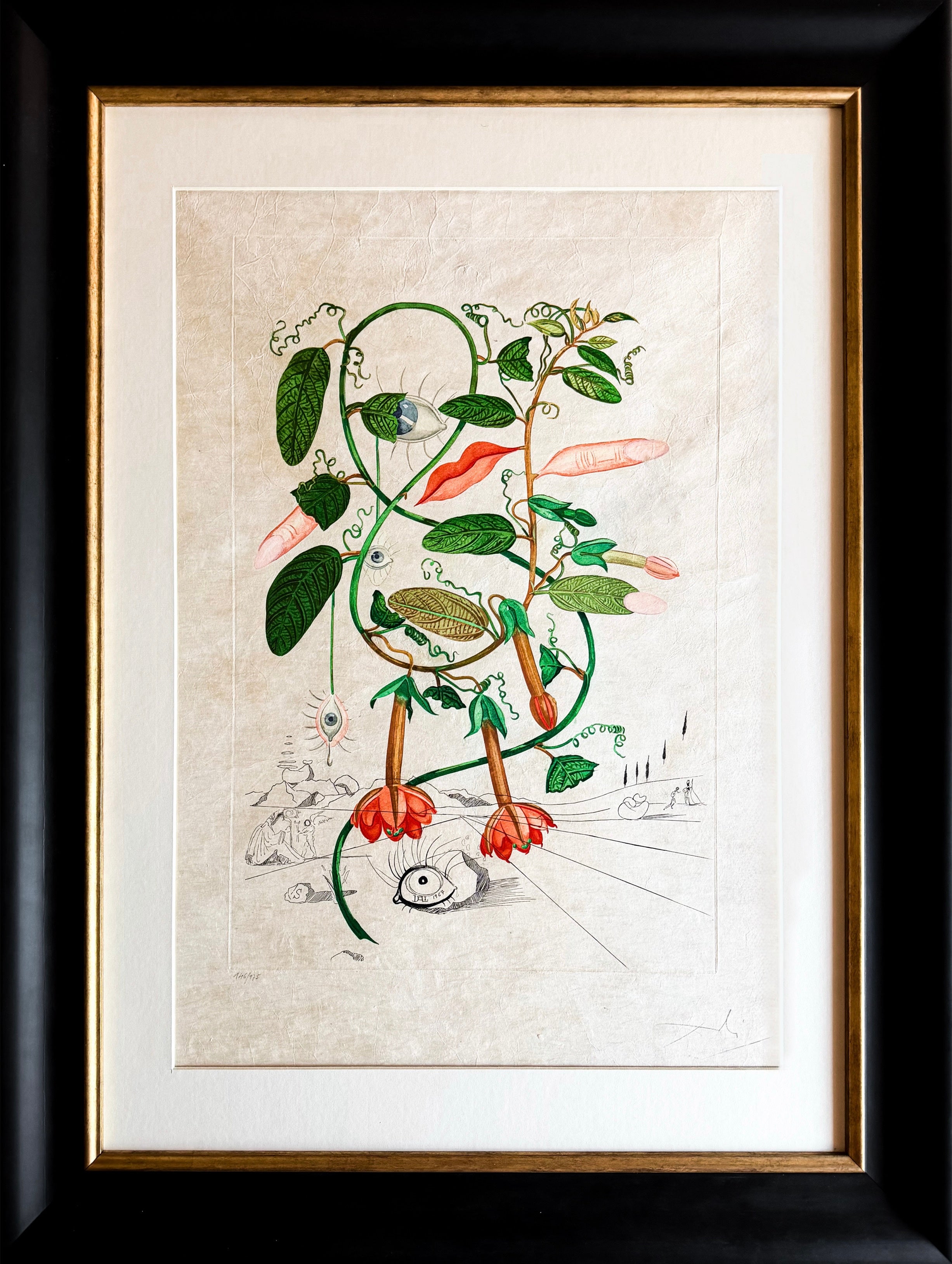 Salvador Dalí (1904–1989) – Cobea (Pisum sensuale) – Color drypoint etching
