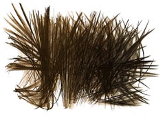 Hans Hartung (1904–1989) – L 108 – Color lithograph on BFK Rives paper – 1963