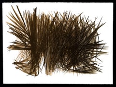 Hans Hartung (1904–1989) – L 108 – Color lithograph on BFK Rives paper – 1963