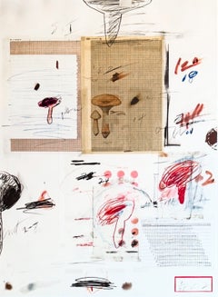 Cy Twombly (1928–2011) - Natural History Part I: Mushrooms - Lithograph - 1974