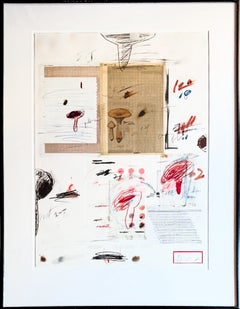 Cy Twombly (1928–2011) - Natural History Part I: Mushrooms - Lithograph - 1974