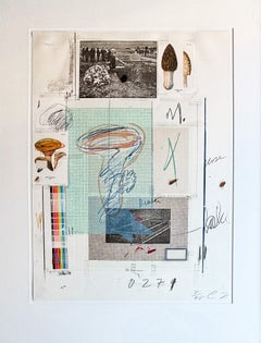 Cy Twombly (1928–2011) - Natural History Part I: Mushrooms - Lithograph - 1974