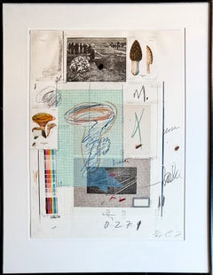Cy Twombly (1928–2011) - Natural History Part I: Mushrooms - Lithograph - 1974
