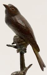 Oiseau sur une branche