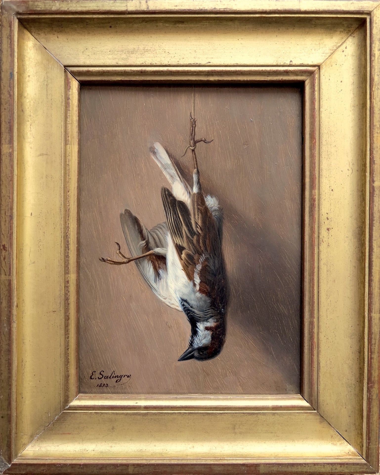 Passerine trophy