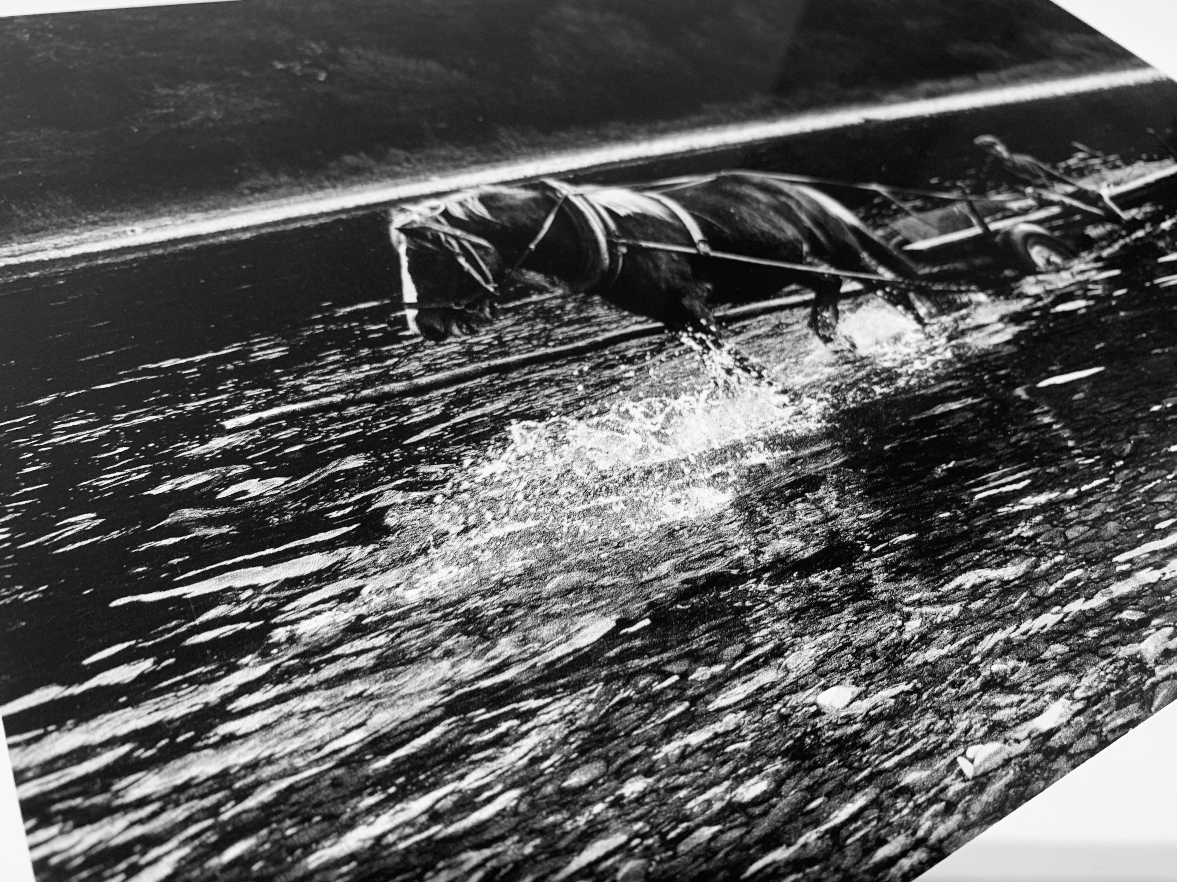 Attraversamento del fiume con il cavallo - Mrzygłód - Galizia polacca in bianco e nero - Black and White Photograph Nero di Michał Cała
