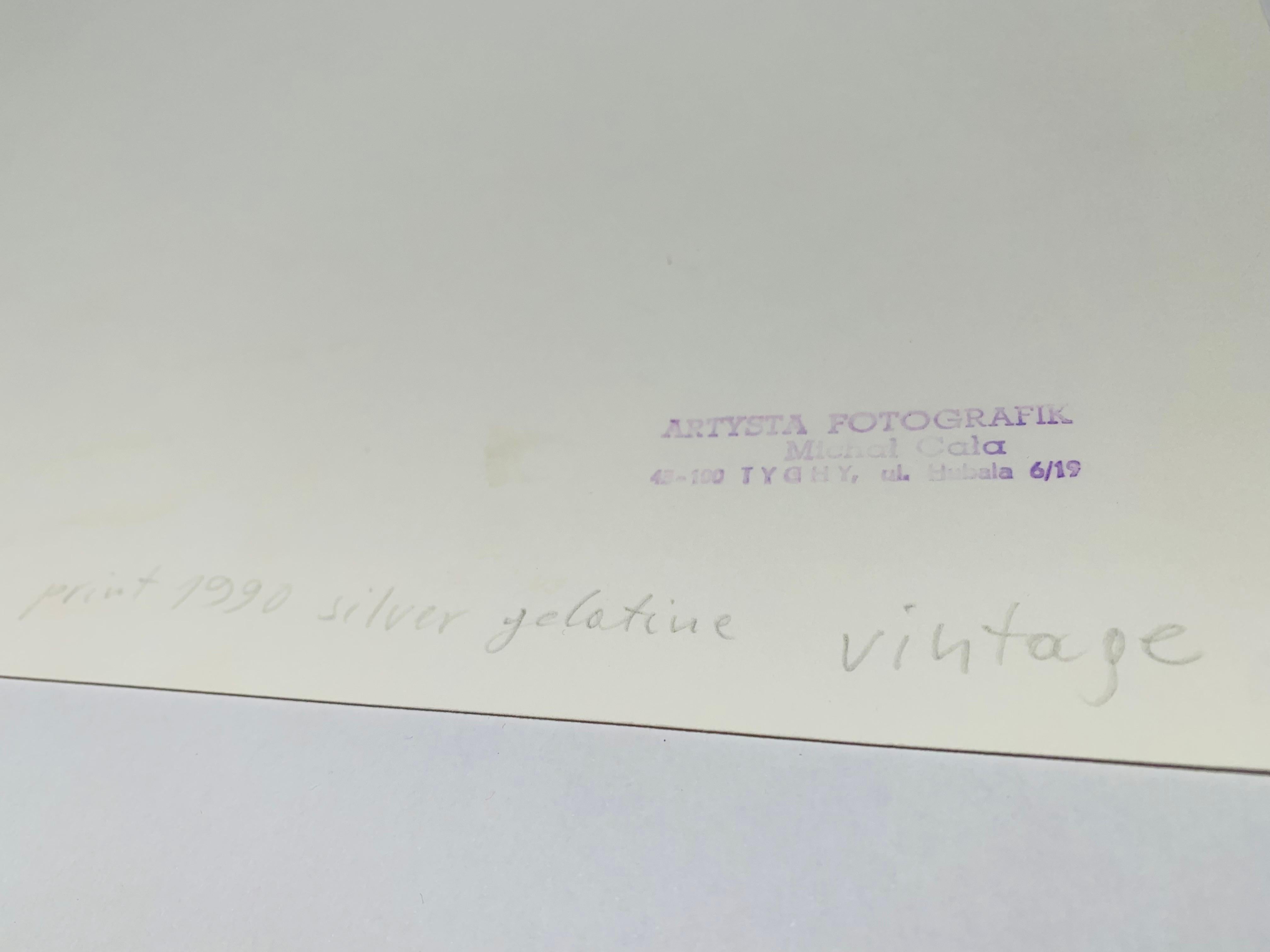 Attraversamento del fiume con il cavallo - Mrzygłód - Galizia polacca in bianco e nero in vendita 1