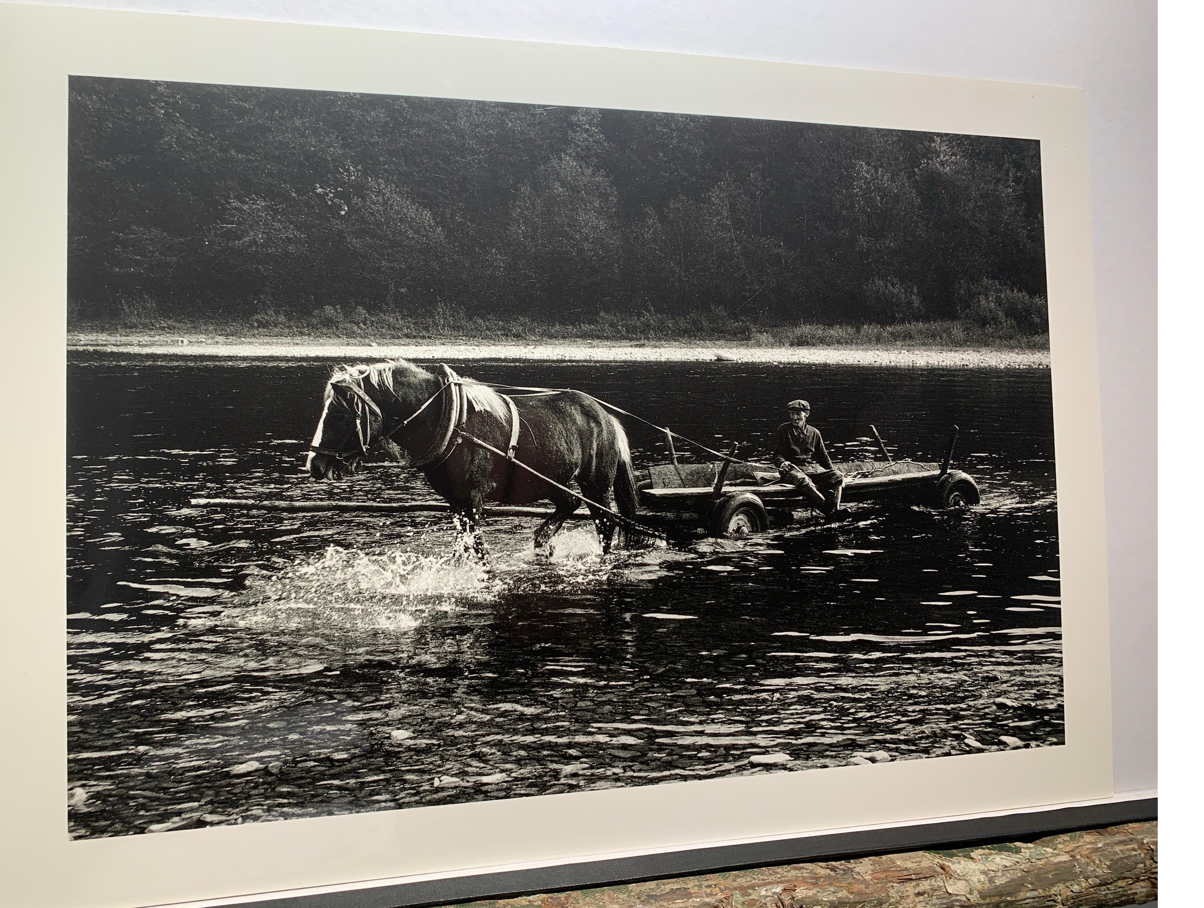 Attraversamento del fiume con il cavallo - Mrzygłód - Galizia polacca in bianco e nero in vendita 3