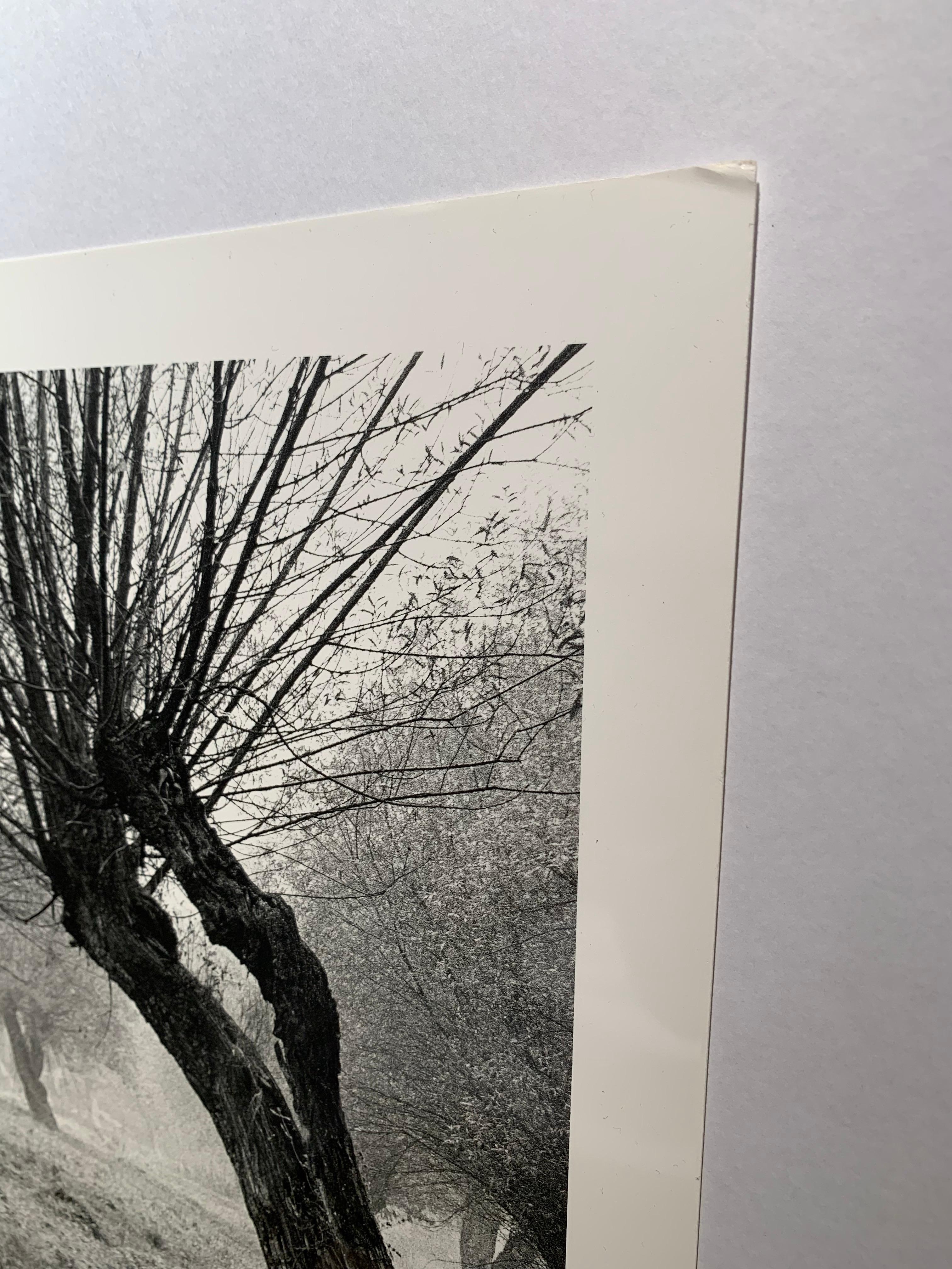 A beautiful composition of painting like idyllic landscape of Polish countryside from 1980s in Galicia...
Polish Galicia is a historical and geographic region between Central and Eastern Europe

