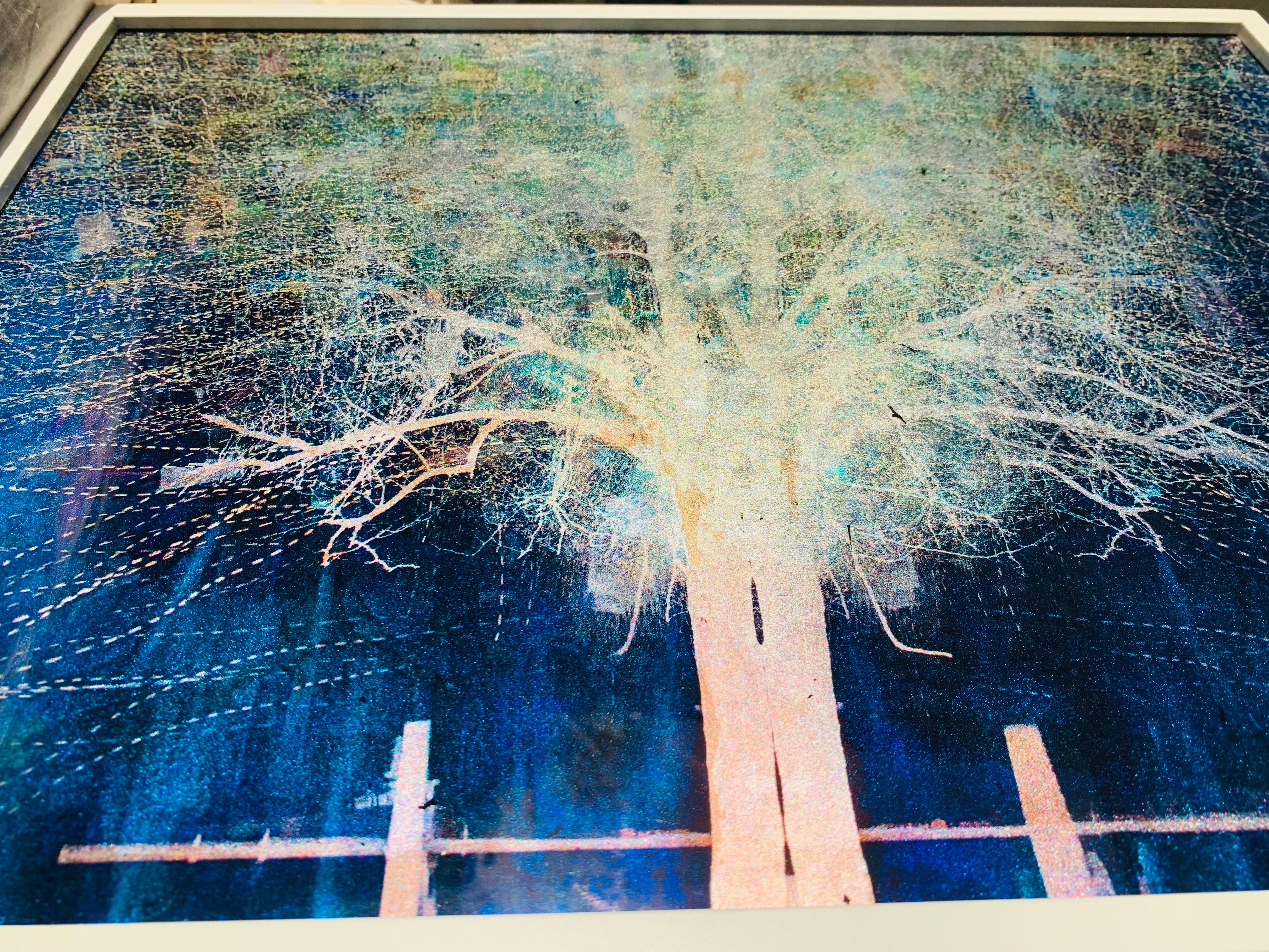 Blue Moon Rising Tree Print on Glass with White Gold leaf in white frame frame For Sale 6