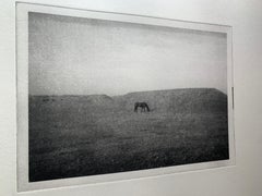 Whiting - Ein kleines Pferd in der Ferne - Schwarz-Weiß-Landschaft Kleindruck