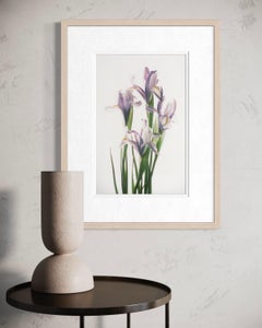 Lirios: elegancia en tonos pastel. Fotografía artística en color de tamaño mediano.